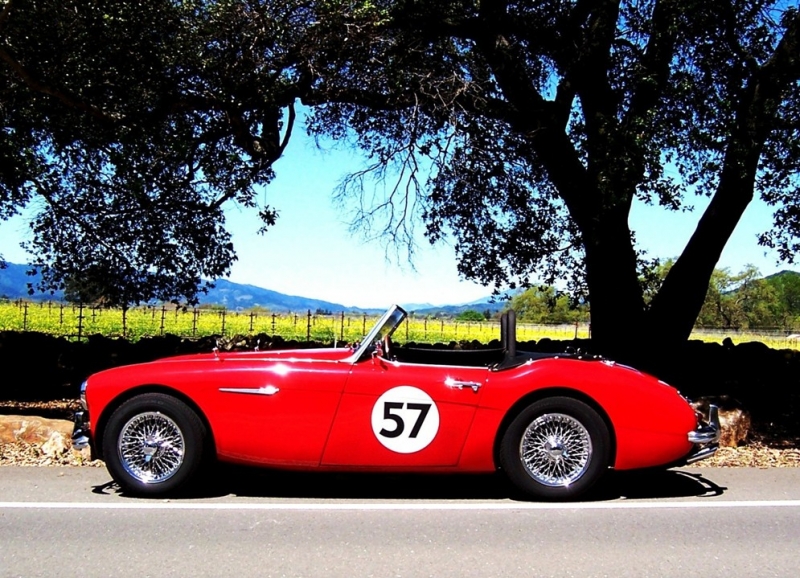 Erika_the_Red_in_the_Napa_Valley_wine_country_-_Small_size