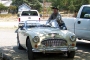 dad-healey