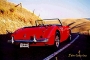 erika_th_red_in_the_golden_hills_of_california_painting_jpg_-_Small_Size